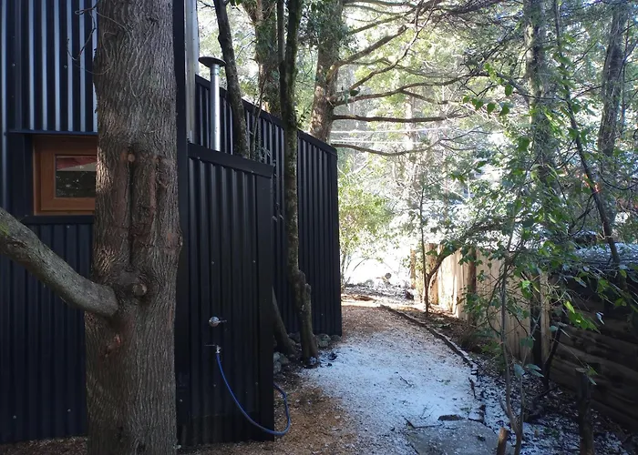 Casa En El Bosque