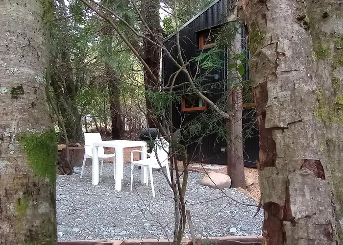 Casa En El Bosque
